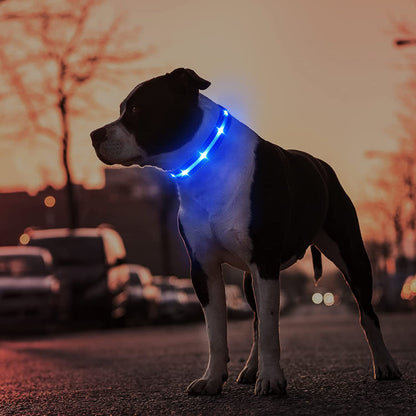 Led Dog Collar,Rechargeable Light up Dog Collars Water-Resistant Lighted Dog Collar Flashing Glowing Dog Collar Night Waking Collar for Dogs