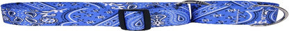 2" Wide Martingale Dog Collar, Blue Bandana, Medium